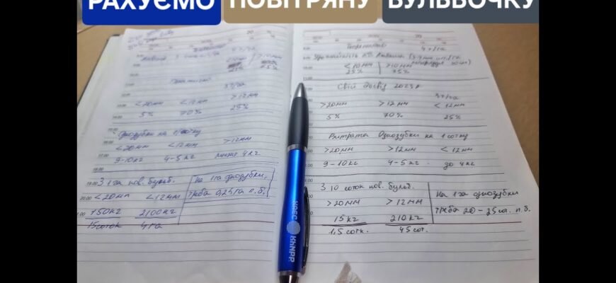 Скільки потрібно часнику на 1 сотку: розрахунки та рекомендації