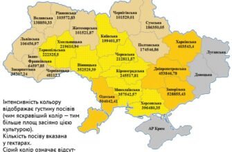 Скільки пшениці потрібно для посіву на ділянці площею 20 соток?