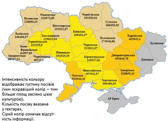 Скільки пшениці потрібно для посіву на ділянці площею 20 соток?