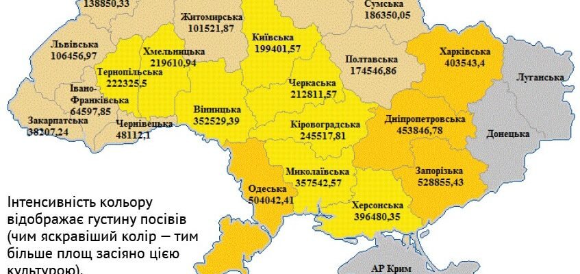 Скільки пшениці потрібно для посіву на ділянці площею 20 соток?