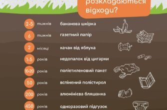 Скільки років потрібно для розкладання скла: важливі факти та цифри