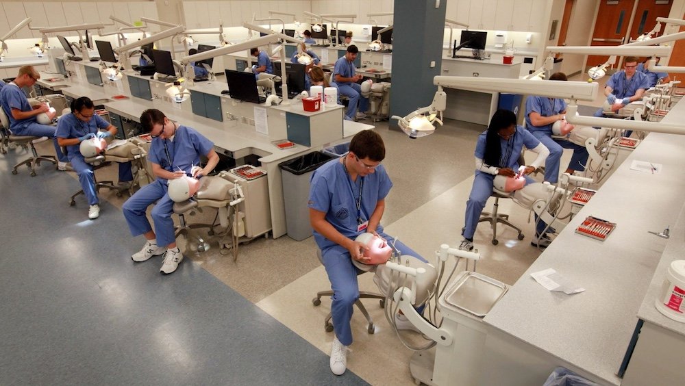 Скільки років вчитися на стоматолога в Україні після 9 та 11 класу