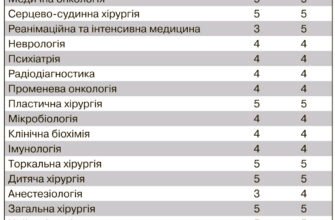 Скільки років триває навчання на бакалавра: основні аспекти та поради