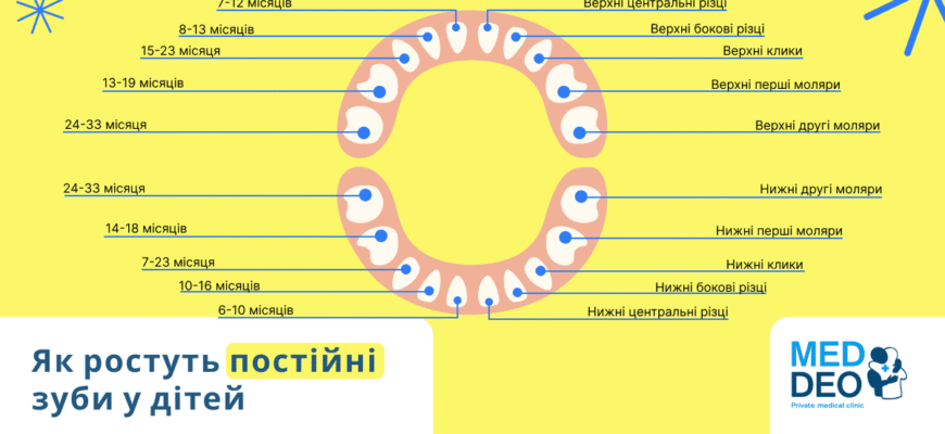Скільки зубів має дитина у 8 років: повний гайд для батьків