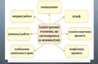 Термін адміністративного правопорушення: визначення та важливі аспекти