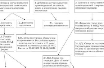 Термін Дії Адміністративного Правопорушення: Все, Що Потрібно Знати