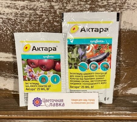 Термін Очікування Дії Актари: Що Потрібно Знати Садівникам