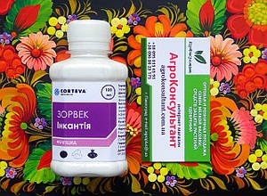 Термін очікування шавіту: що потрібно знати перед замовленням