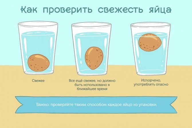 Термін придатності перепелиних яєць сягає двох місяців.