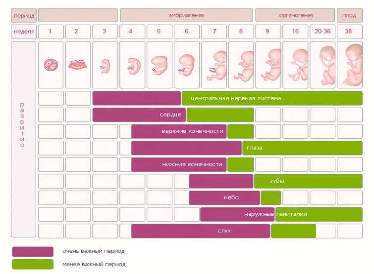 Средства доступности