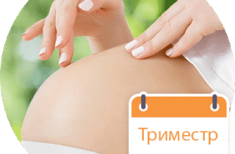 Термін вагітності від зачаття: відлік тижнів і важливі етапи