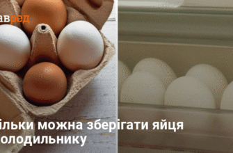 Термін зберігання яєць без холодильника: ключові факти та поради