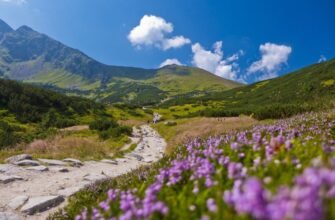 ТОП цікавих місць Закарпаття: відкрийте для себе унікальний край