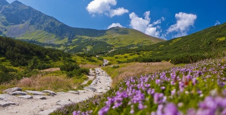 ТОП цікавих місць Закарпаття: відкрийте для себе унікальний край