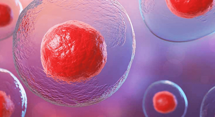 Третя вагітність у 39 років: особливості, виклики та поради лікарів