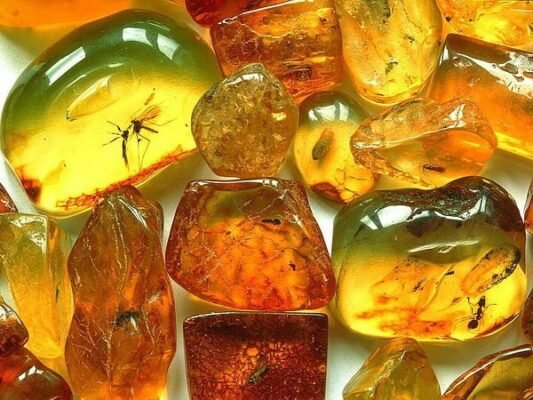 Три неймовірні факти про бурштин: історія, властивості, застосування