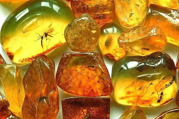 Три неймовірні факти про бурштин: історія, властивості, застосування Три неймовірні факти про бурштин: історія, властивості, застосування