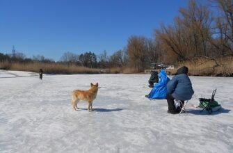 Три неймовірних факти про зиму, які ви не знали раніше