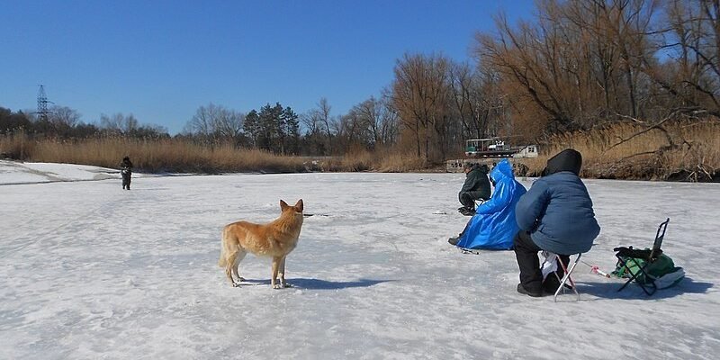 Три неймовірних факти про зиму, які ви не знали раніше