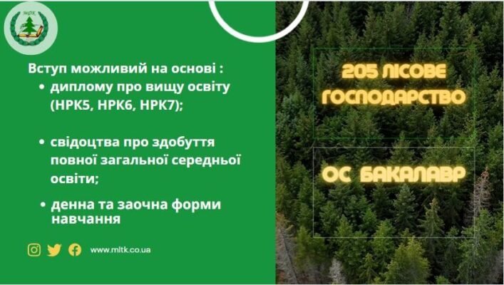 Тривалість навчання на лісника: скільки років потрібно для професії
