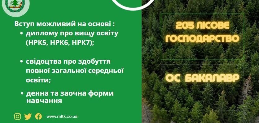 Тривалість навчання на лісника: скільки років потрібно для професії Тривалість навчання на лісника: скільки років потрібно для професії