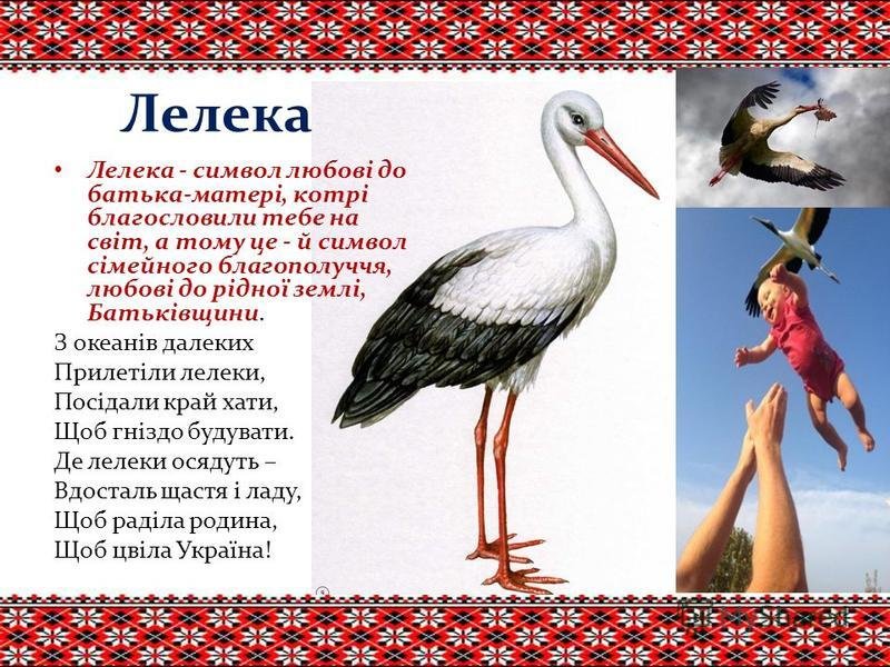 Лелека - живий символ України