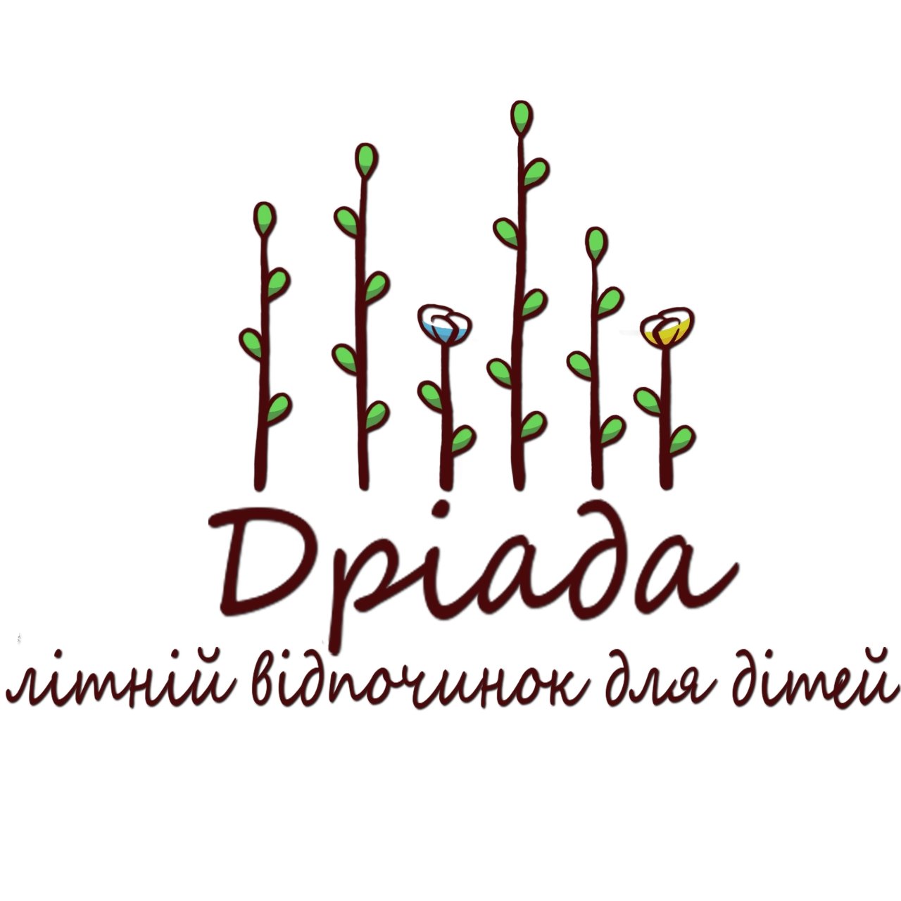 Список діючих дитячих таборів на Ріненщинні | Міні Рівне