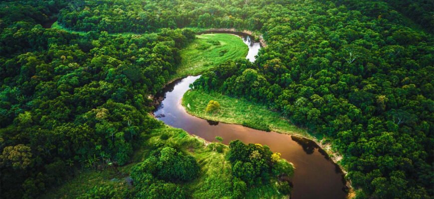 Цікаві факти про Амазонку: неймовірні відкриття та секрети природи