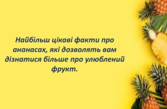 Цікаві факти про ананас: історія, користь та несподівані відомості