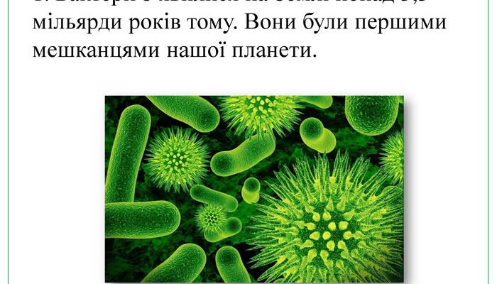 Цікаві факти про бактерії та віруси: дивовижний світ мікробів Цікаві факти про бактерії та віруси: дивовижний світ мікробів