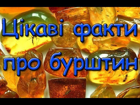 Цікаві факти про бурштин для дітей: дізнайся більше про це диво! Цікаві факти про бурштин для дітей: дізнайся більше про це диво!