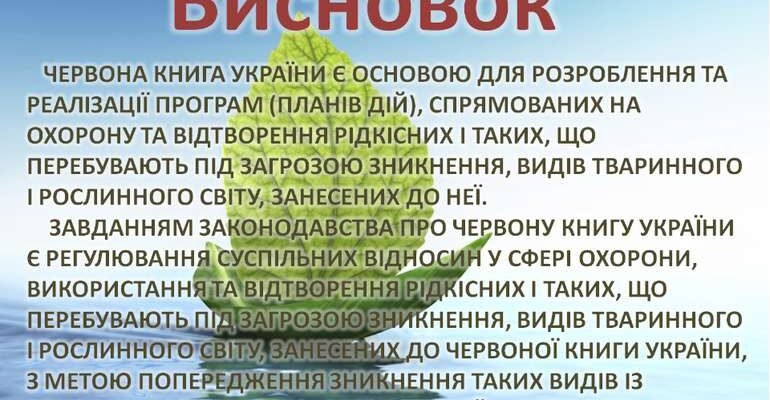 Цікаві факти про Червону книгу України: рідкісні види та їх збереження
