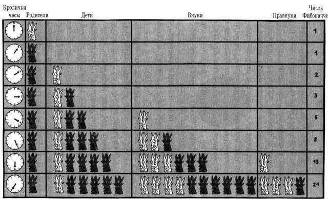 Факультатаивний розділ з математики(інтегровано з інформатикою ...