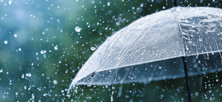 Цікаві факти про дощ: Неймовірні відкриття та явища природи