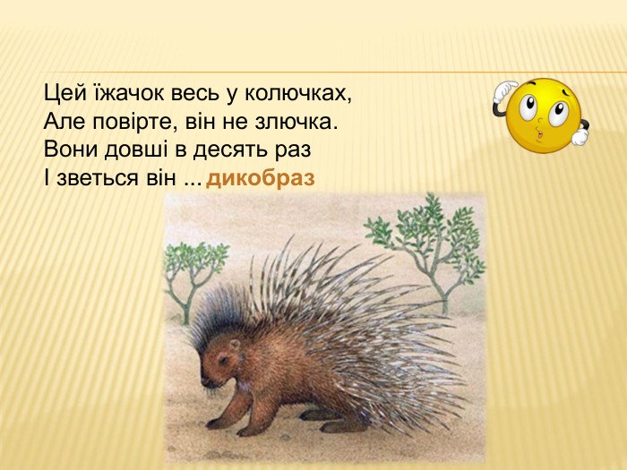 Дикі образи дикобраза