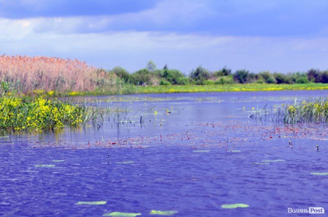 Історія Барбадосу: Цікаві Факти та Глибокий Огляд - Karpaty.net.ua
