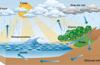 Цікаві факти про гідросферу: дізнайтеся більше про водний світ!