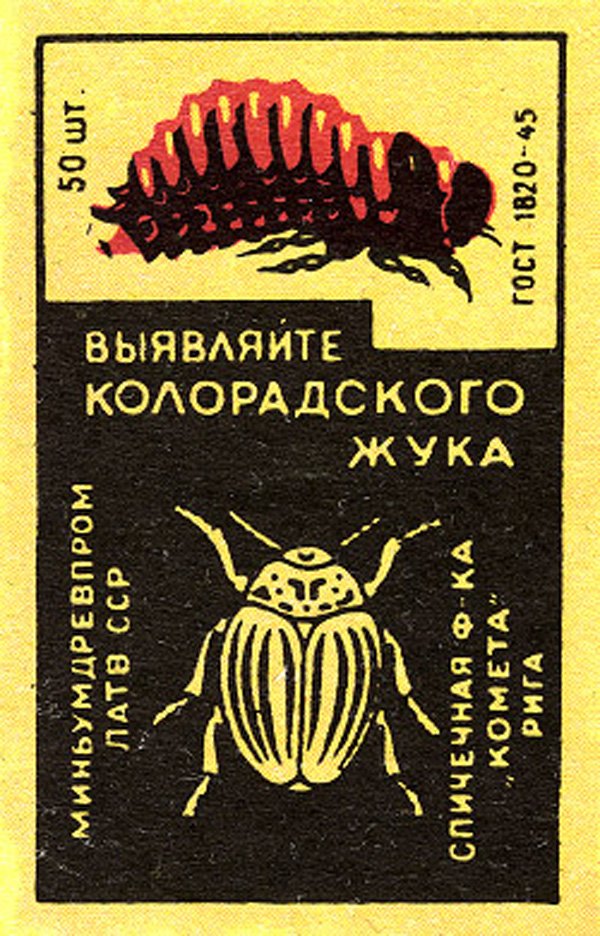 КОЛОРАДСЬКИЙ ЖУК - ТАЄМНА АМЕРИКАНСЬКА ЗБРОЯ В БОРОТЬБІ З ...