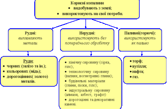 Цікаві факти про корисні копалини: відкрийте світ природних скарбів!