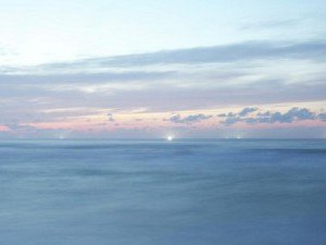 23 цікавих фактів про кротів ᐈ faktypro.com.ua