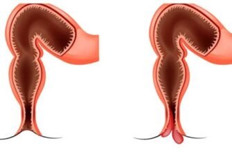 Цікаві факти про кровоносну систему: незвідані можливості організму