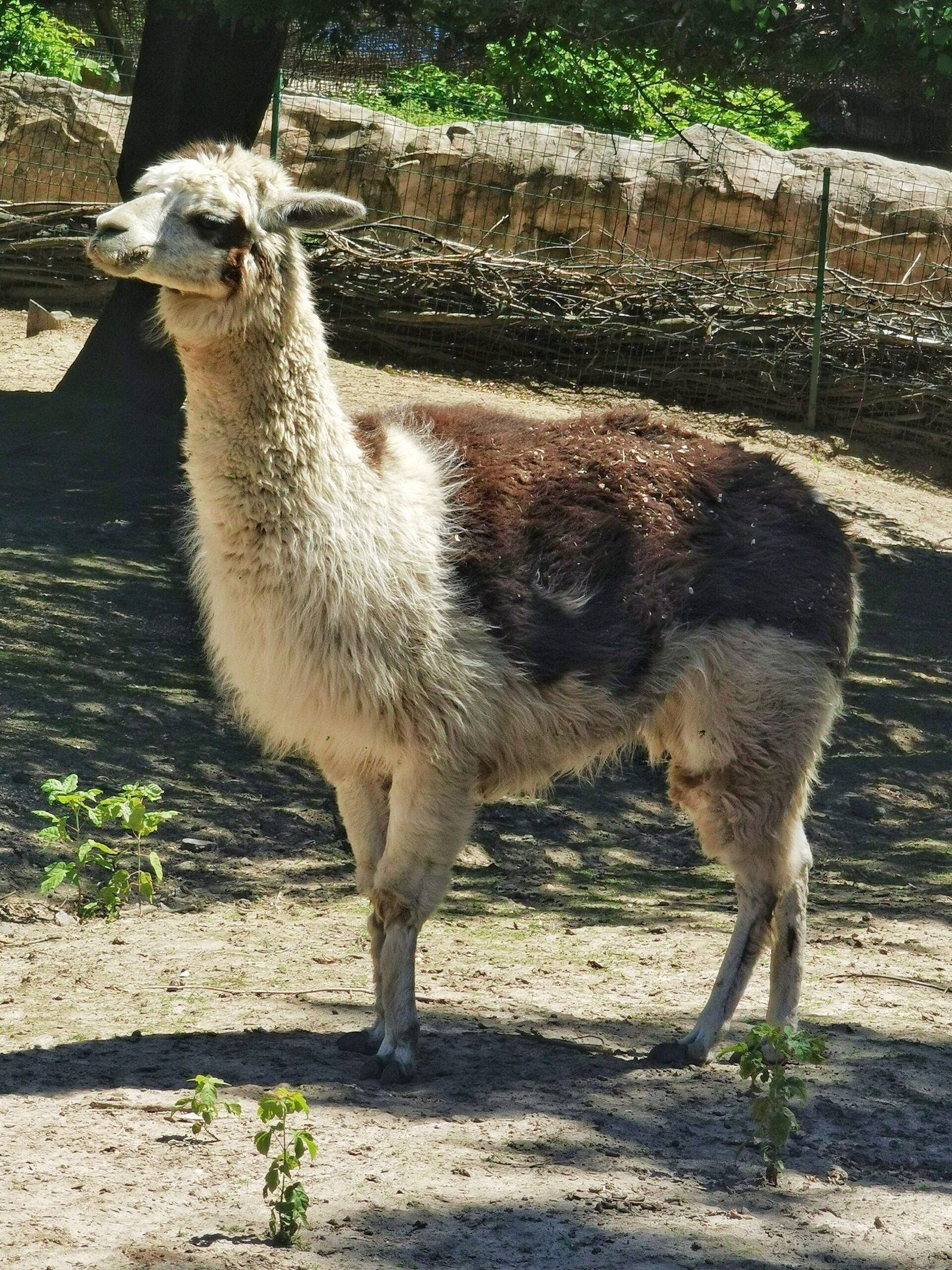 Правила поведінки