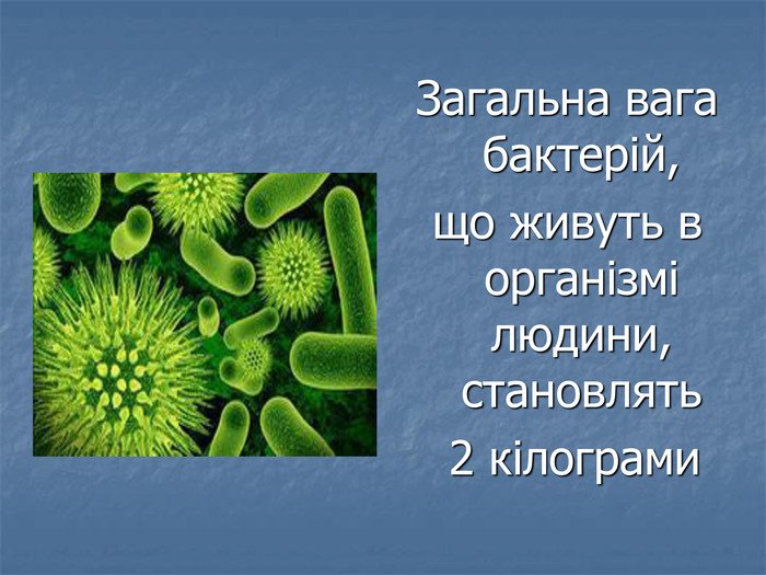 Незвичайні факти про винаходи та відкриття, які змінили наше життя ...