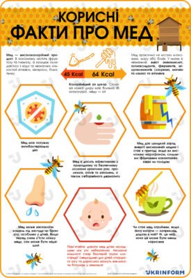 Цікаві факти про мед: користь, історія та застосування продукту