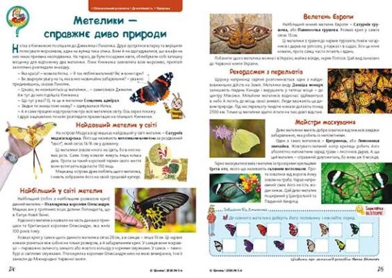 Цікаві факти про метеликів: таємниці цих кольорових красенів природи