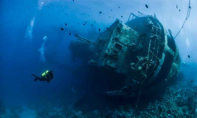 Величезний та загадковий світ океанів: 9 цікавих фактів → Природа ...
