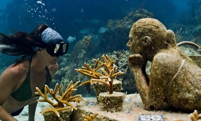 Цікаві факти про море: відкрийте таємниці підводного світу океанів