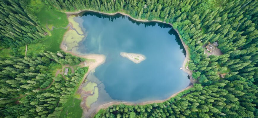 Цікаві факти про Національний парк Синевир: природа та історія