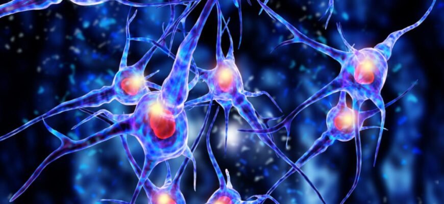 Цікаві факти про нервову систему: неймовірні відкриття та таємниці
