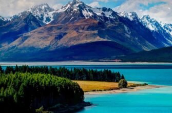 Цікаві факти про Нову Зеландію: що ви не знали про цю країну?